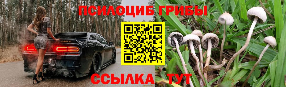 Галлюциногенные грибы Psilocybine cubensis  Вход с VPN  Галлюциногенные грибы GOLDEN TEACHER  Каменск-Шахтинский 