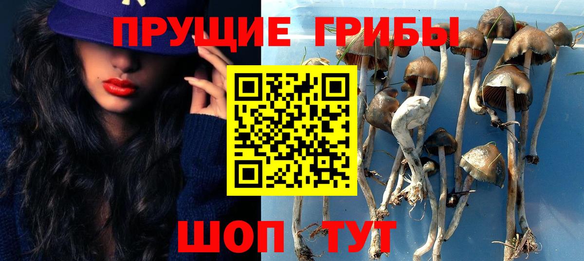 Псилоцибиновые грибы ЛСД Каменск-Шахтинский