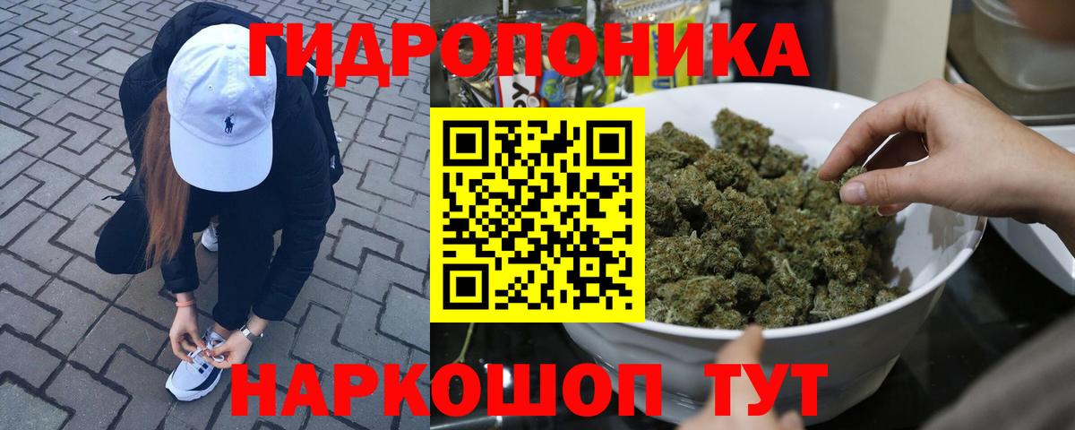 МАРИХУАНА семена  МАРИХУАНА гибрид  Каменск-Шахтинский  Конопля индика  Вход с VPN  Конопля сатива 